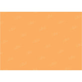 LB0328 Tangerine Solid Warm Backdrop